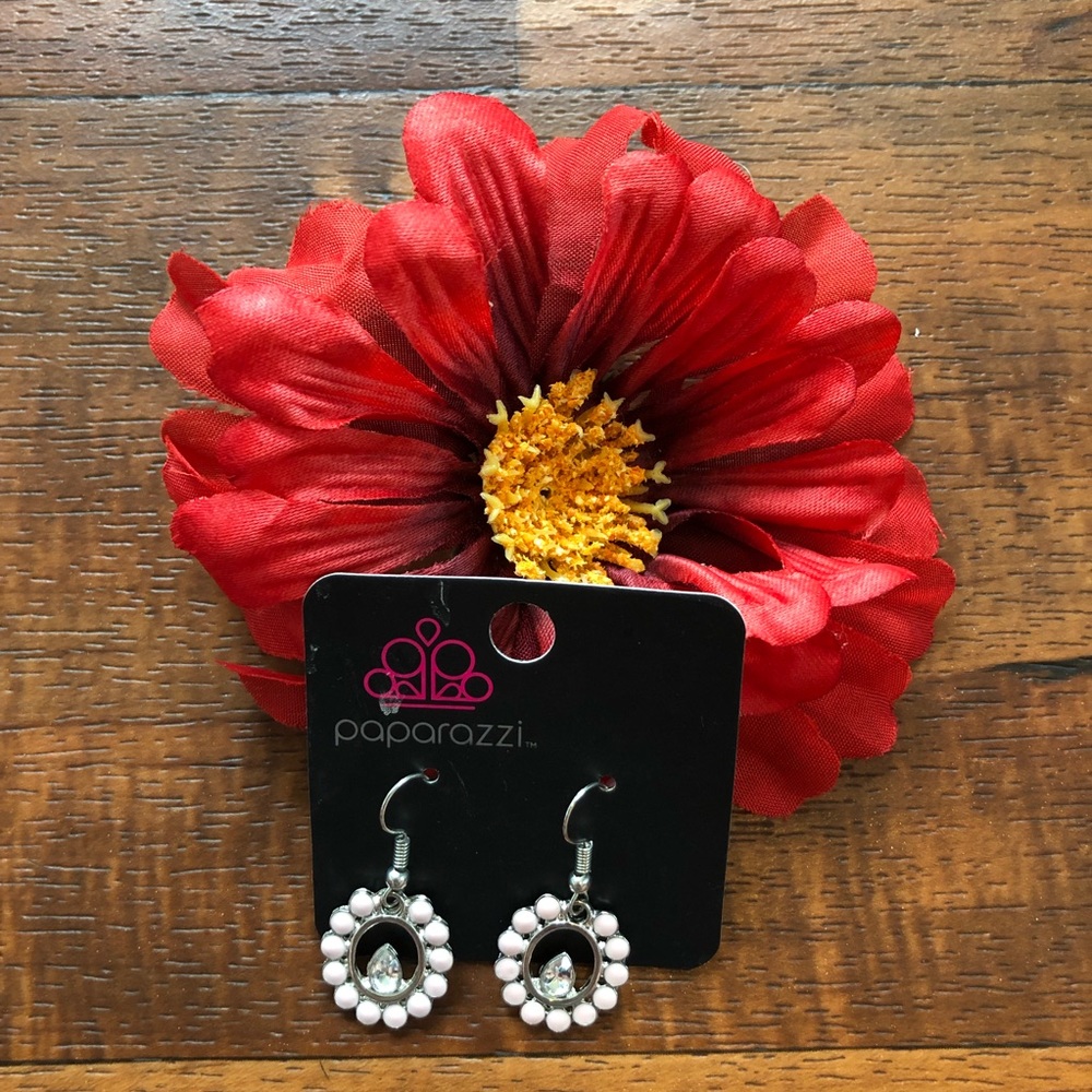 NWT Paparazzi Women’s Earrings